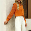 New V-neck Lace-trimmed Patchwork Long-sleeve Top