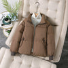 Short Korean Style Loose Stand Collar Puffer Jacket Versatile Commuter Style