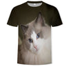 T-shirt da uomo con stampa digitale e maniche corte con gatto carino