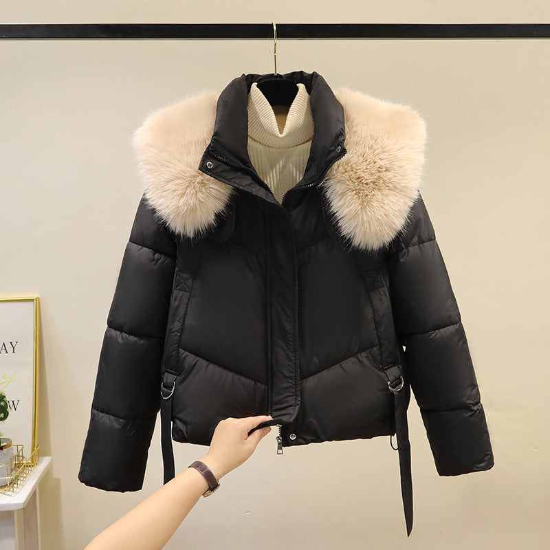 Women's Short Cotton-padded Jacket, Versatile And Fashionable, Stand-up Collar, Thick And Warm Loose Style