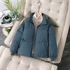Short Korean Style Loose Stand Collar Puffer Jacket Versatile Commuter Style