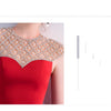 Fishtail Long Banquet Elegant Evening Dress