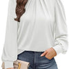 Women's Long Sleeve Small Turtleneck Solid Color Pleated