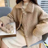 Lamb Wool Coat Female Fleece-lined Thick Loose
