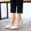 Women's Shoes Spring Nude Stiletto Heel Pointed High Heels