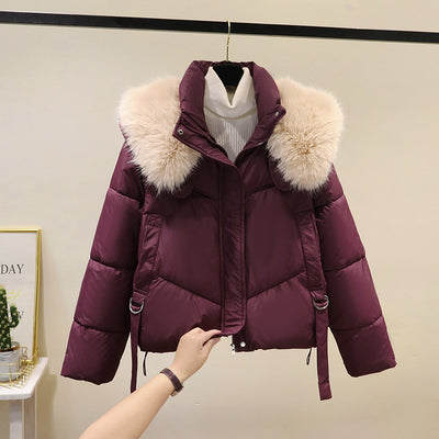 Women's Short Cotton-padded Jacket, Versatile And Fashionable, Stand-up Collar, Thick And Warm Loose Style