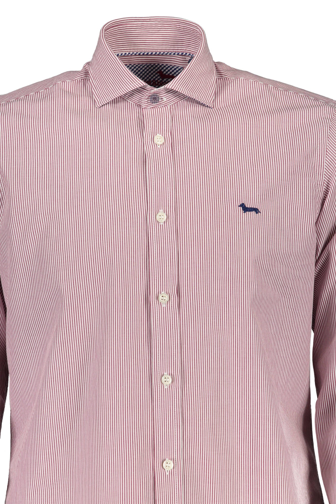 "HARMONT & BLAINE CAMICIA MANICHE LUNGHE UOMO VIOLA"