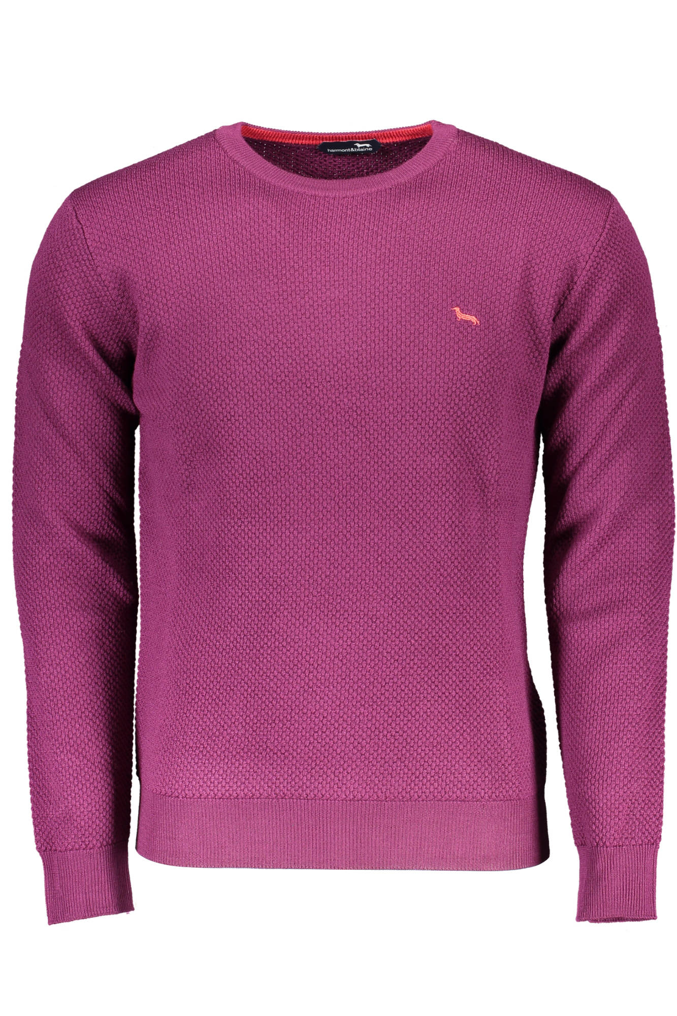 "HARMONT & BLAINE MAGLIONE UOMO VIOLA"